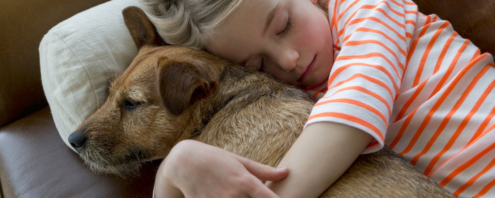 7 bénéfices à dormir avec votre chien!