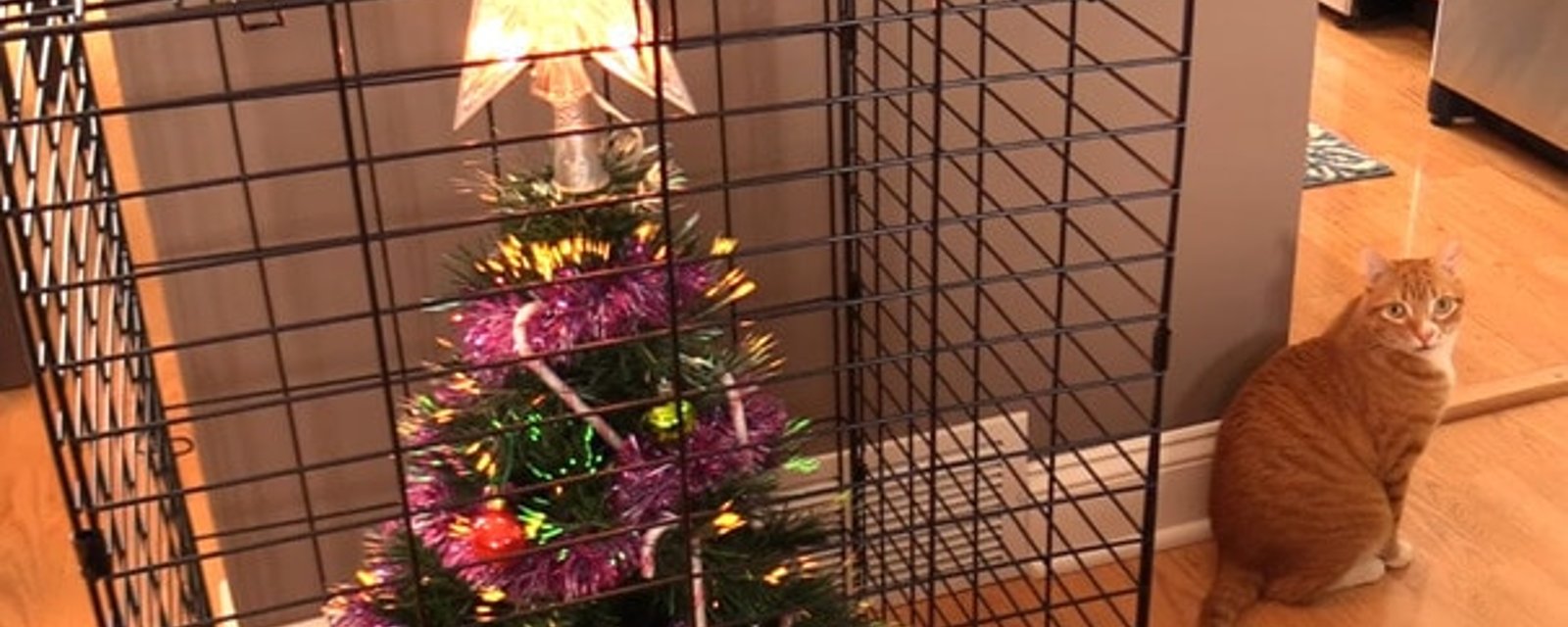 20 décorations de Noël résistantes aux dégâts de vos animaux de compagnie!