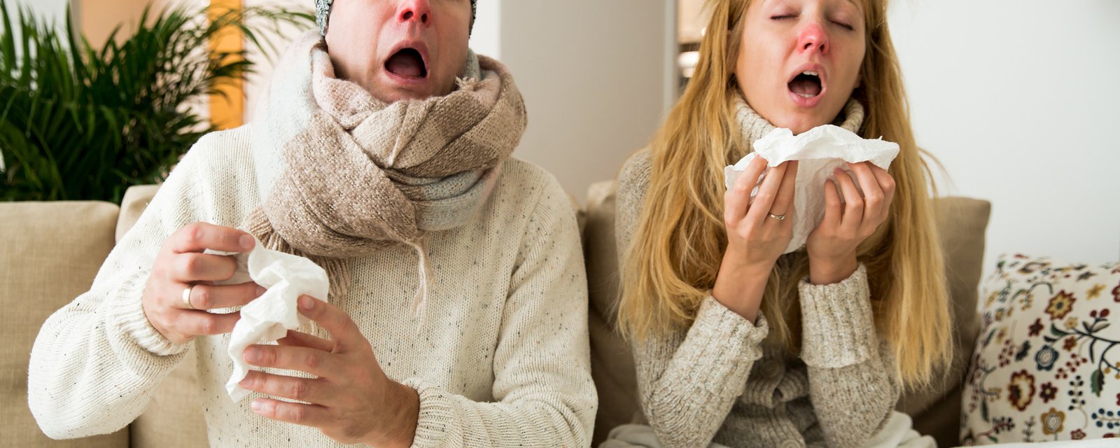 11 trucs destinés à aider à combattre votre rhume cet hiver