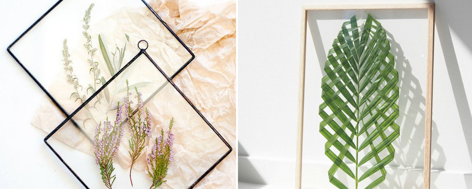 22 idées créatives pour décorer la maison avec des plantes et des fleurs encadrées! 