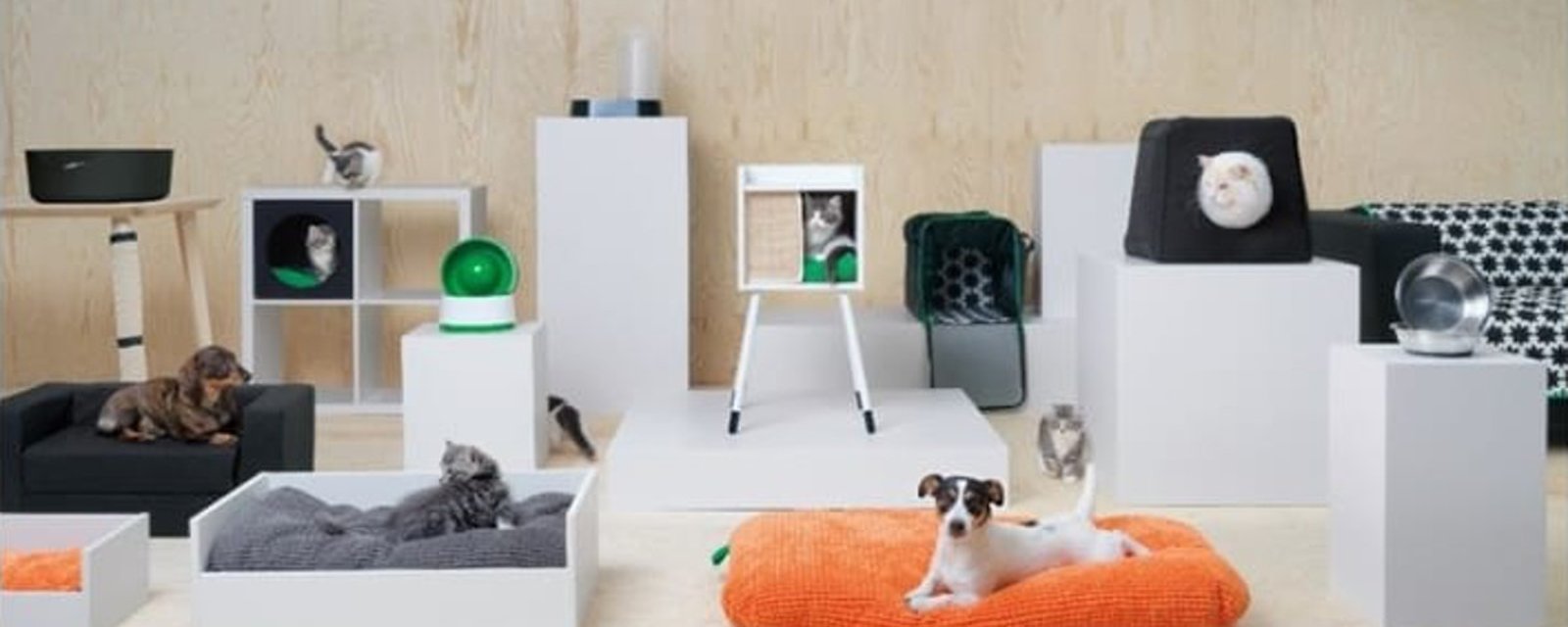 Ikea lance une ligne de meubles pour animaux et c'est un succès inespéré! 