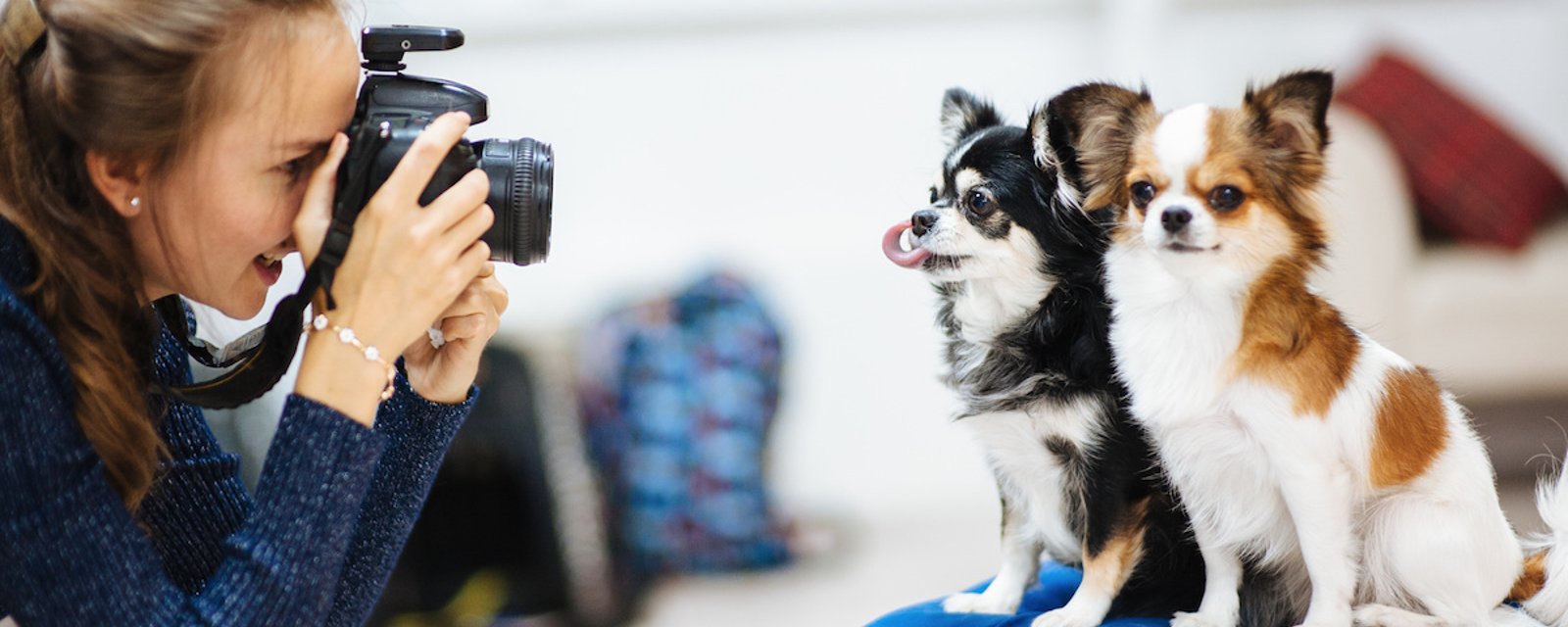 Une nouvelle étude nous apprend que les propriétaires de chiens prennent plus de photos de leur animal que de leur conjoint.