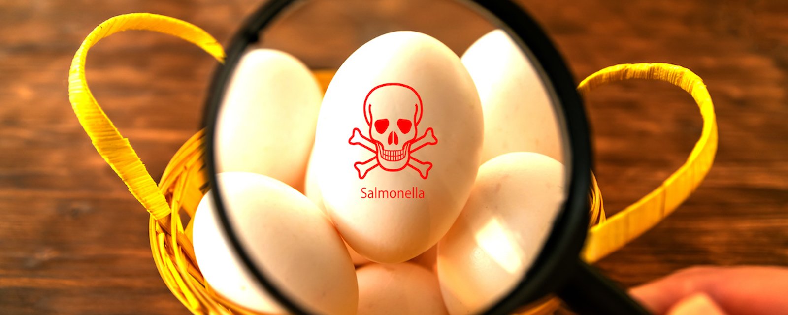 5 conseils pour prévenir la salmonellose