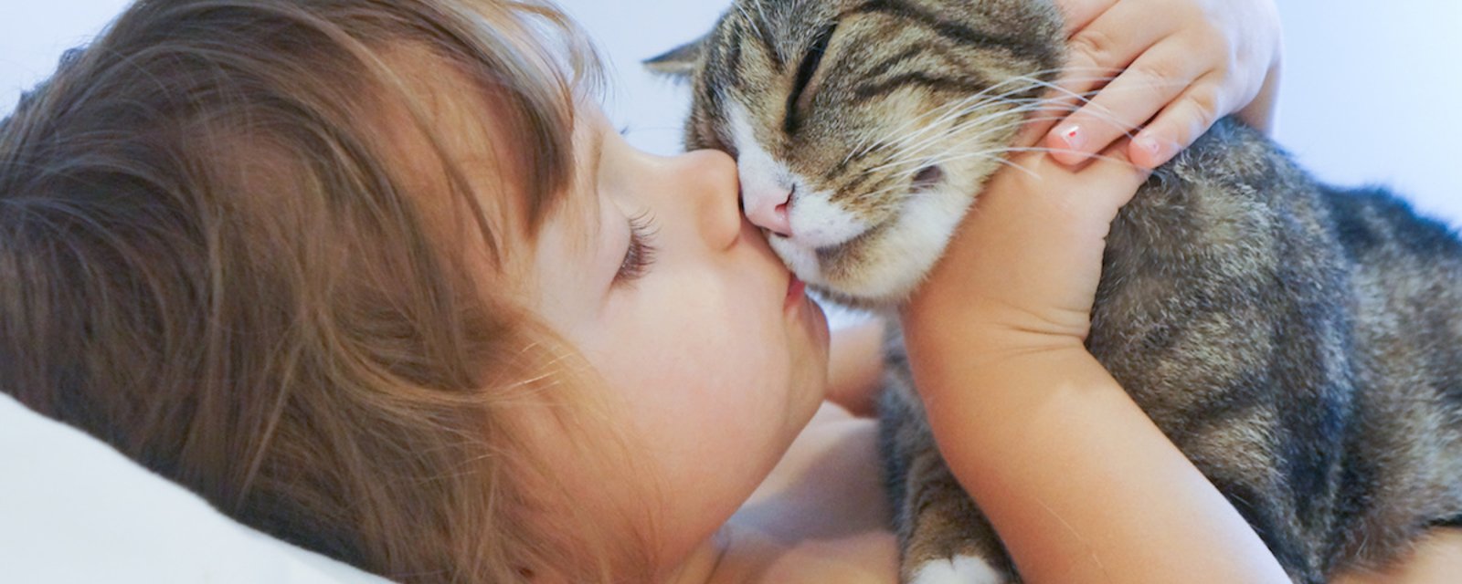 Les personnes allergiques aux chats pourraient profiter d’un vaccin dans quelques temps