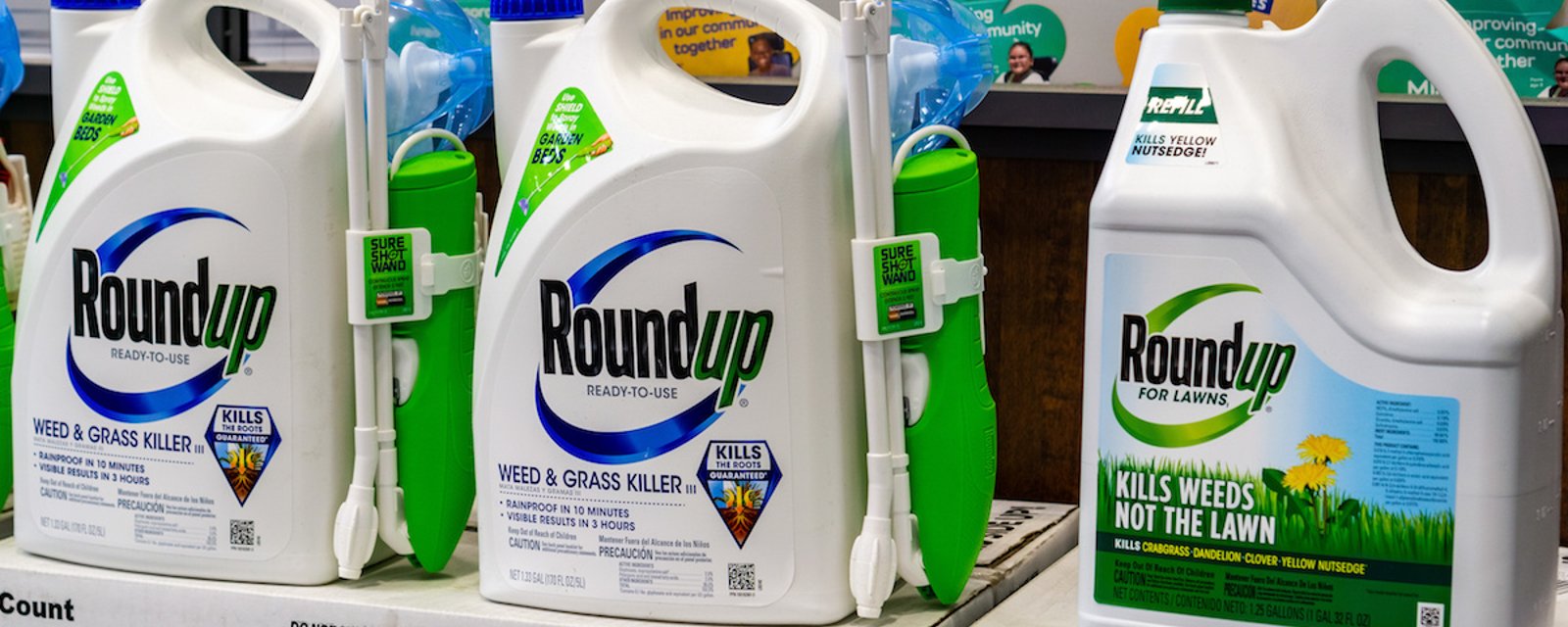 Herbicide Roundup: Montréal banniera l'utilisation du glyphosate sur son territoire