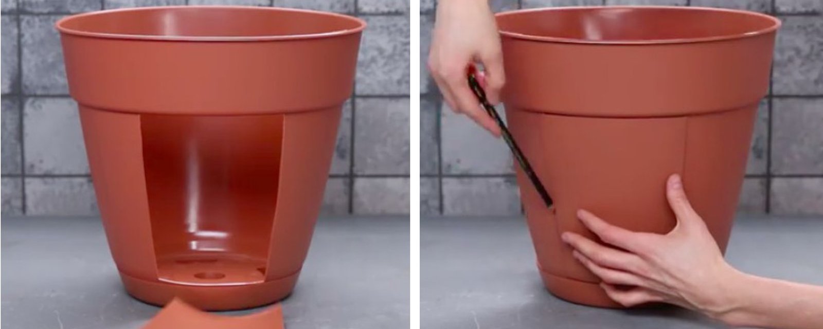 Elle coupe des rectangles dans un pot à fleurs en plastique! Son astuce jardinage est tellement brillante! 
