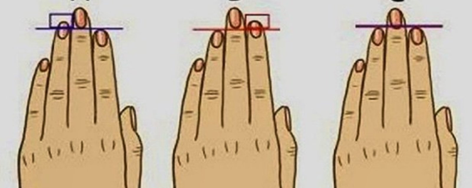 Voici ce que la longueur des doigts des hommes révèle... sur leur pénis!