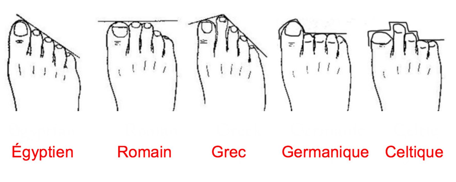 Ce que la forme de vos pieds révèle malgré vous sur votre personnalité!