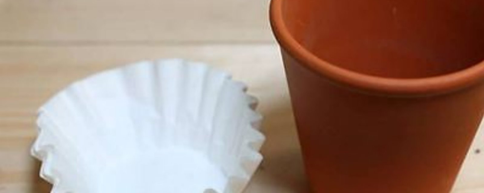 Quand vous planterez vos fleurs en pot, n’oubliez pas d’utiliser des filtres à café!