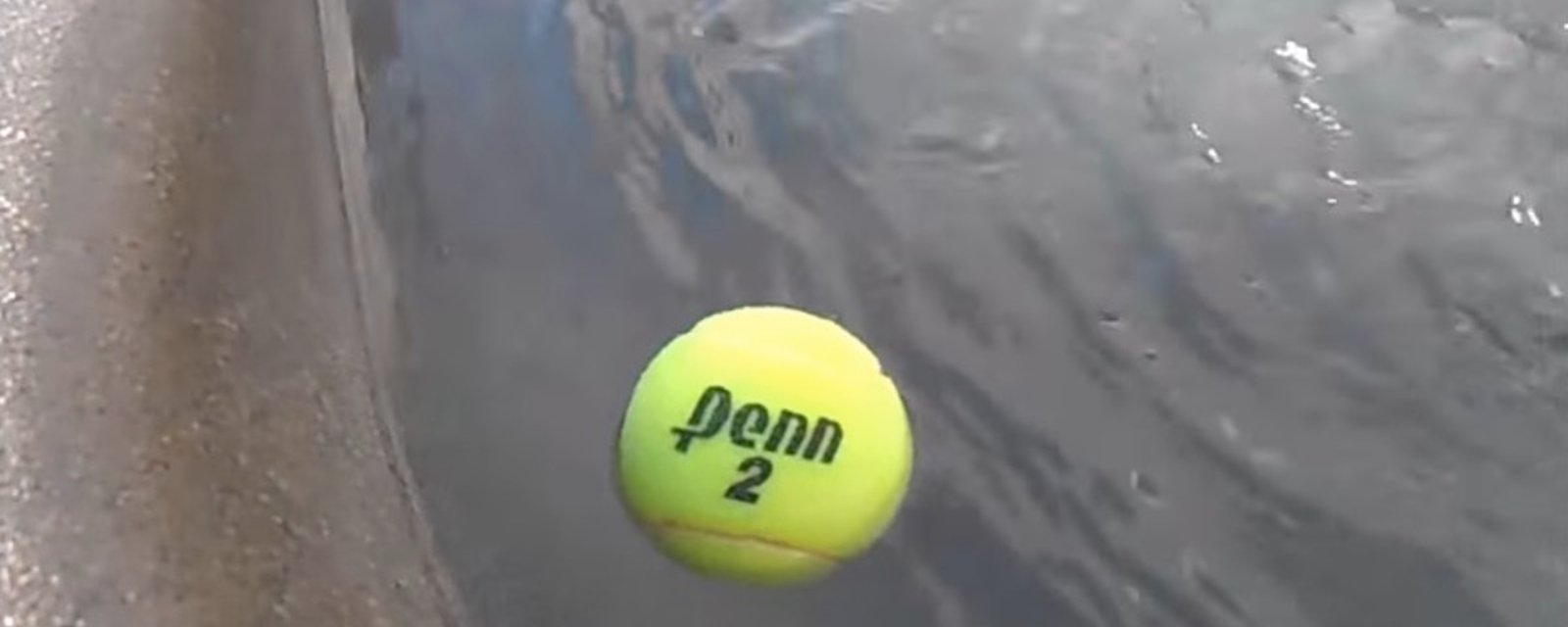 Il laisse une balle de tennis tremper dans l'eau toute la nuit! À son réveil, Il est très fier de son astuce! Parce que c'est brillant!! 
