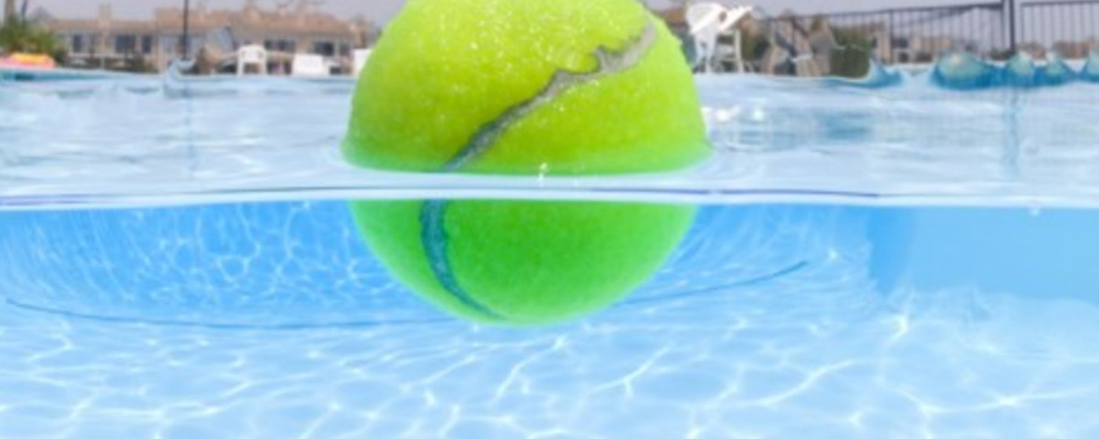 Aussitôt que les nageurs sortent de sa piscine, il lance quelques balles de tennis dans l’eau. La raison est étonnante!