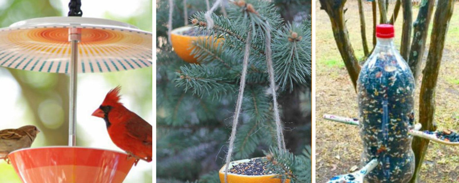 Fabriquer une mangeoire d'oiseaux en récupérant, c'est facile! Voici 10 modèles pour vous inspirer! 