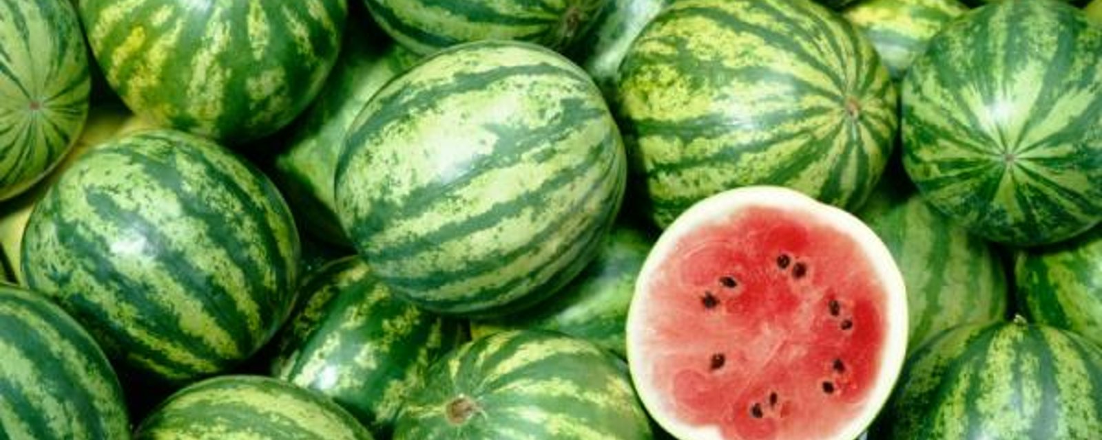 5 trucs qui vous permettront de choisir le melon d'eau parfait 
