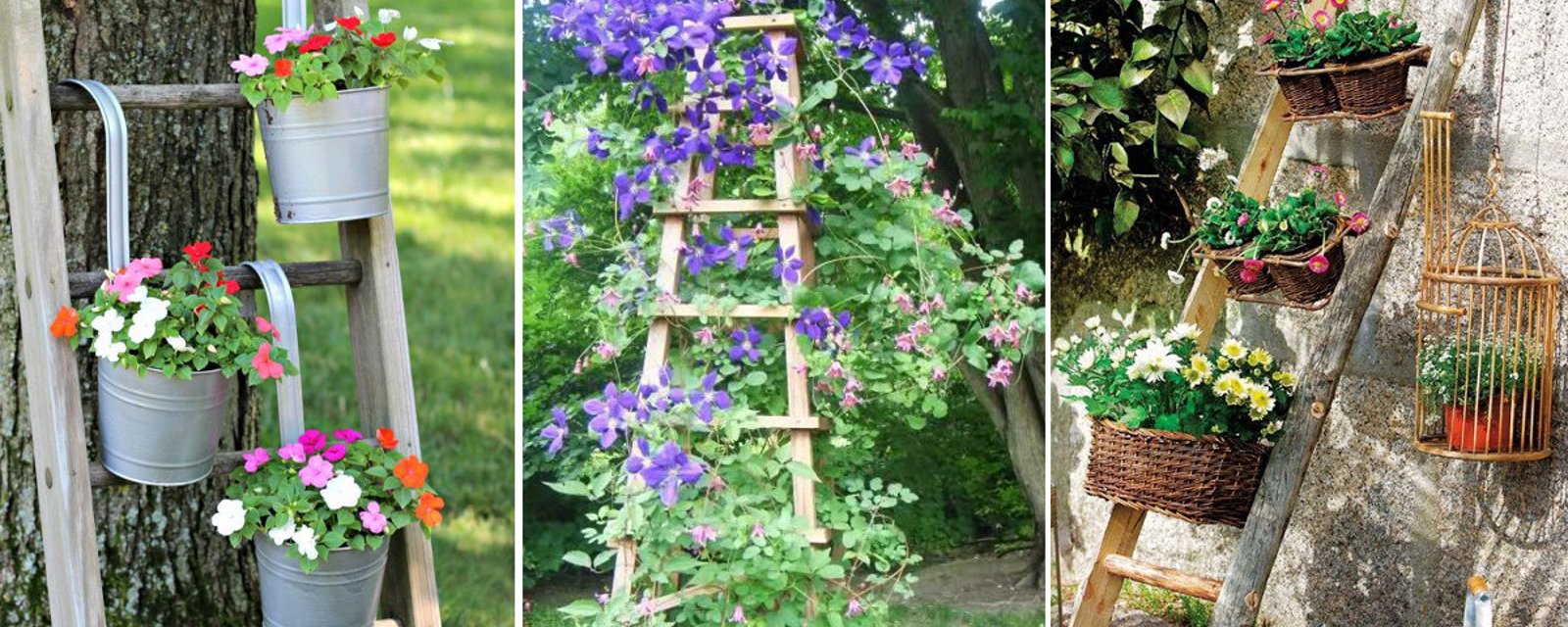 18 adorables façons de récupérer une vieille échelle pour décorer votre jardin