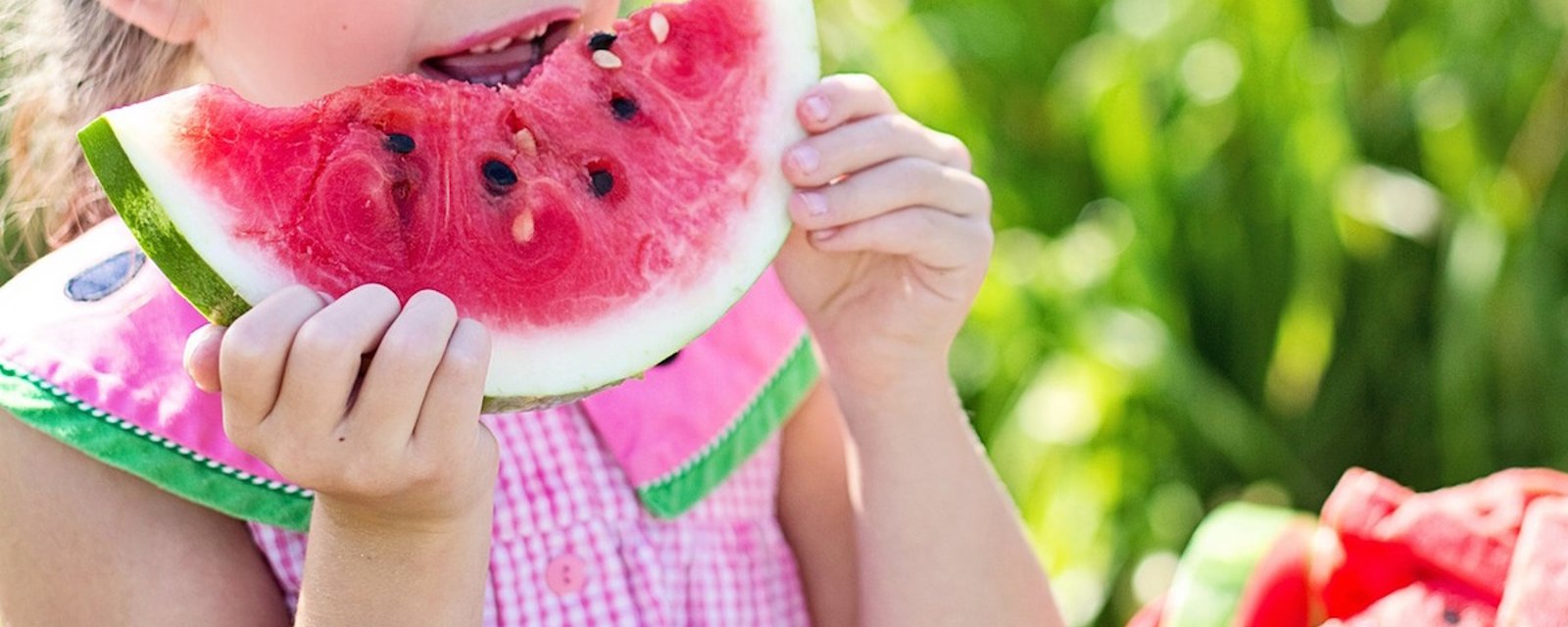 7 choses à savoir absolument au sujet du melon d’eau