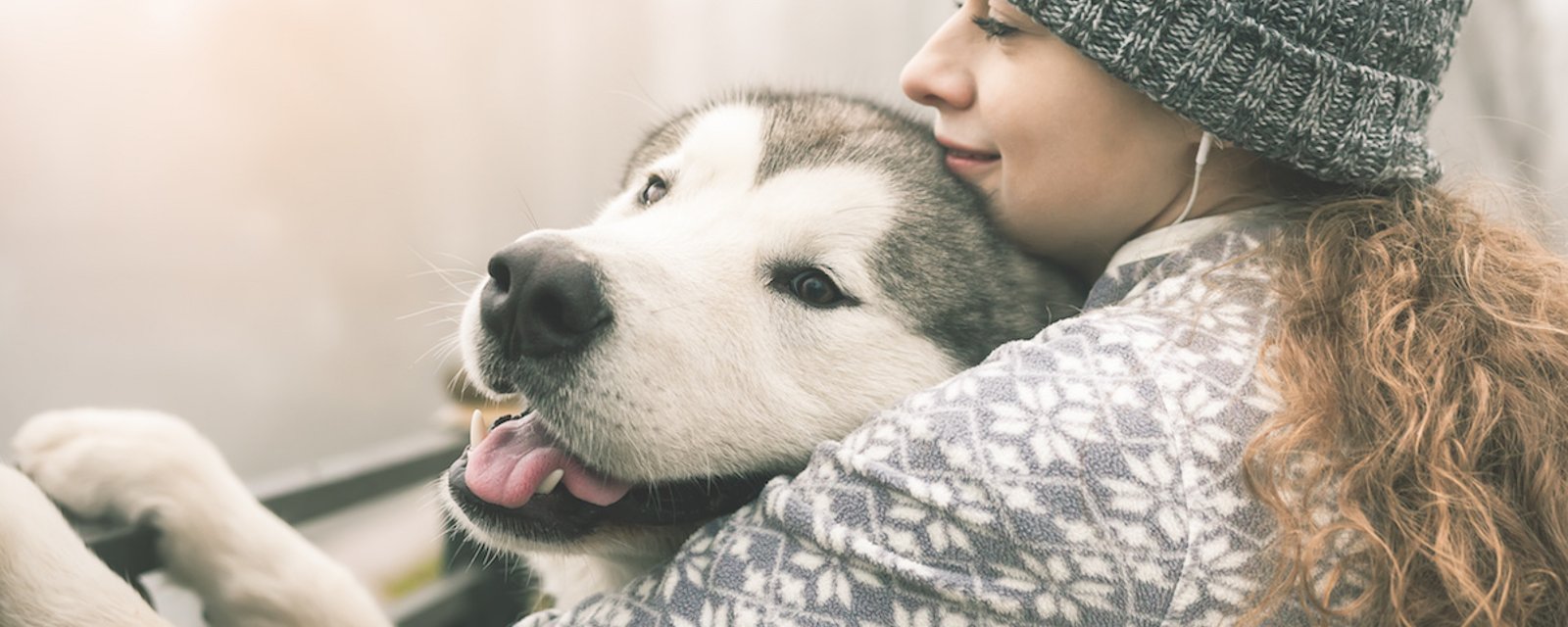 11 façons qu’a votre chien de vous dire «je t’aime»