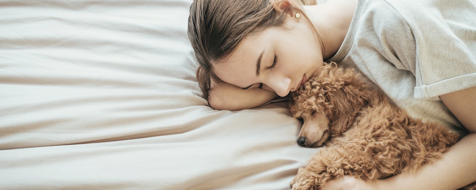 Selon une étude, les femmes dormiraient mieux en compagnie d'un chien