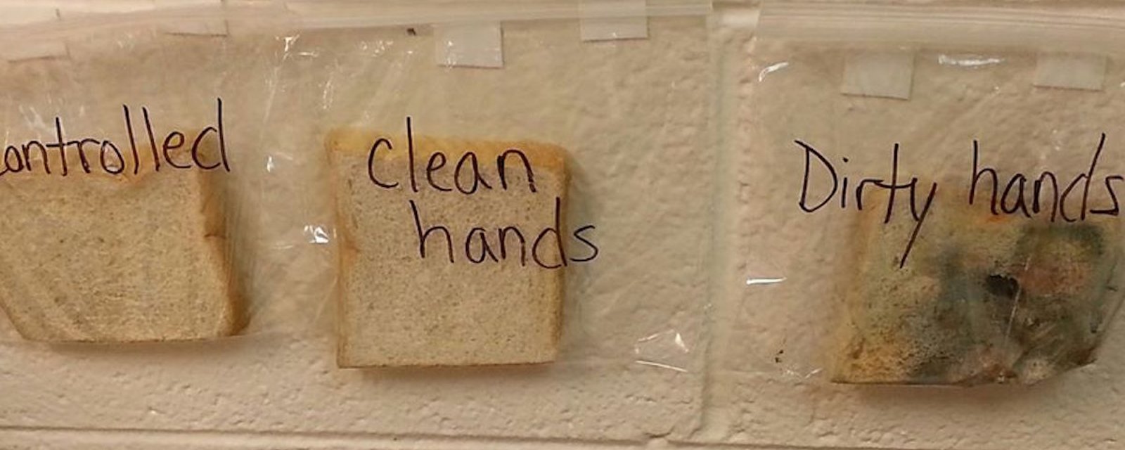 Avec 3 tranches de pain, une enseignante donne une leçon à ses élèves, qui ne l'oublieront jamais...