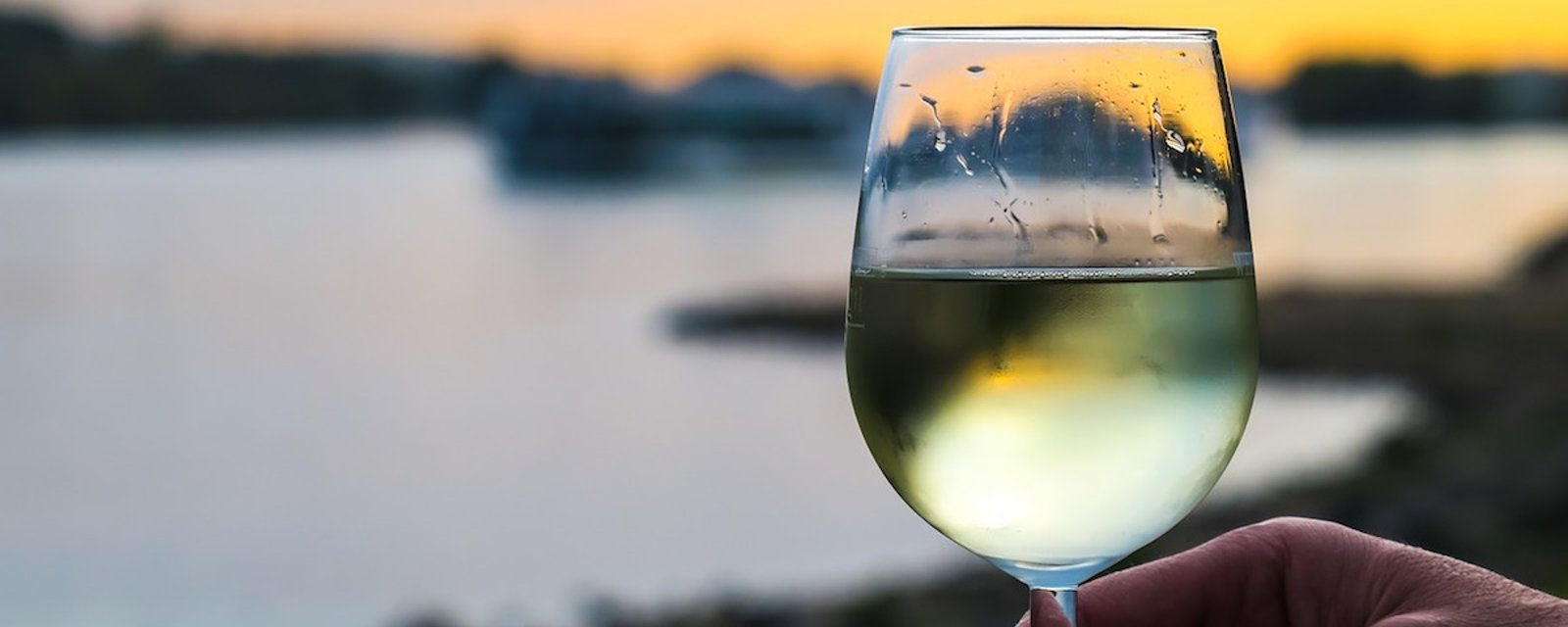 Selon des chercheurs, boire deux verres de vin blanc avant de dormir permettrait de maigrir!