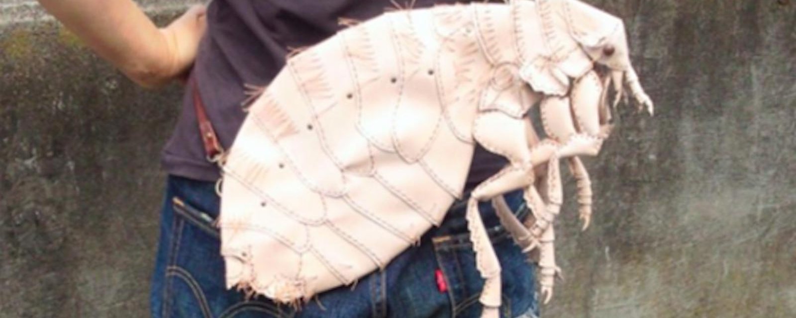 Un artiste crée des sacs en forme d’insectes pour aider les gens à soigner leur phobie