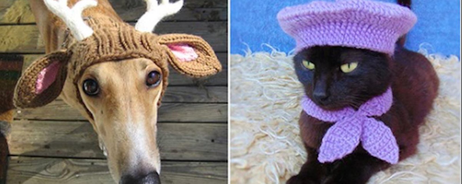 20 inspirations de chapeaux pour animaux réalisés au crochet