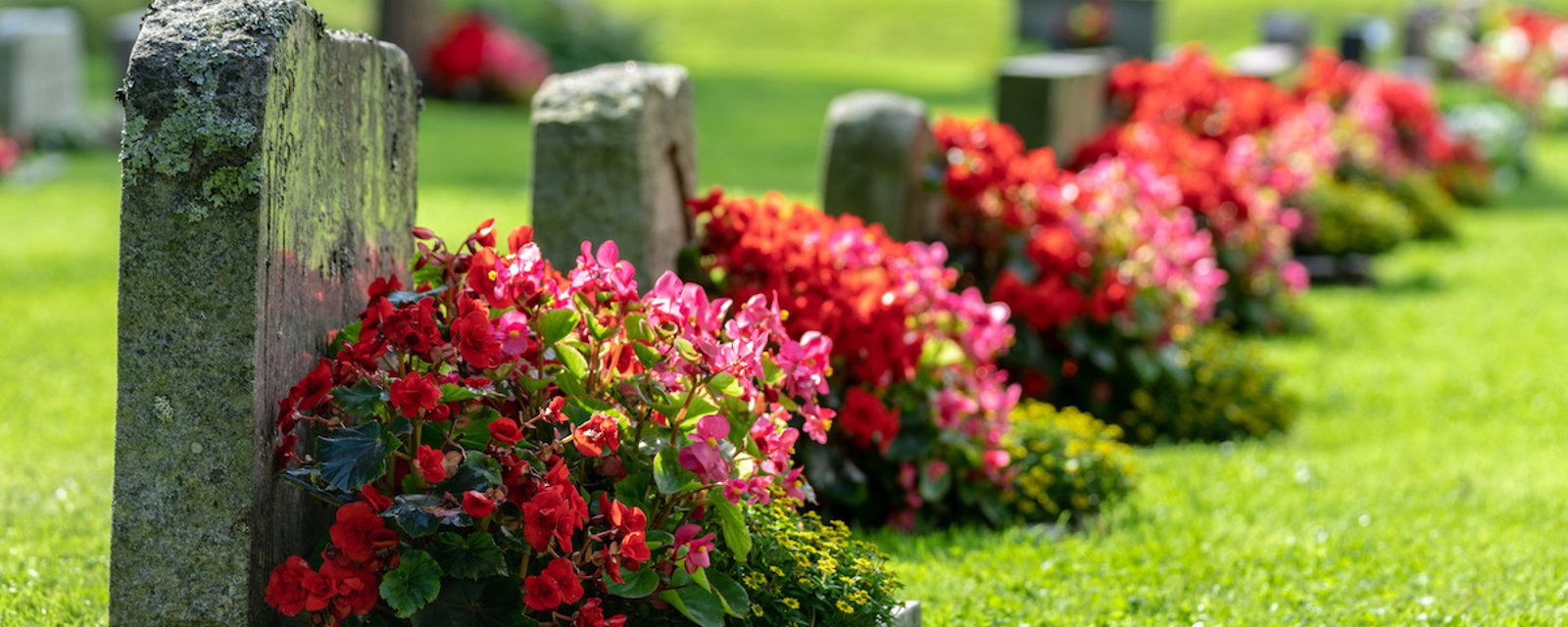 Nouveau service au cimetière: un logiciel pour retrouver une pierre tombale