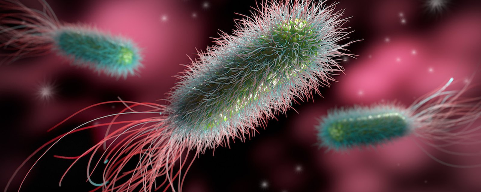 10 nids à microbes que vous touchez quotidiennement!