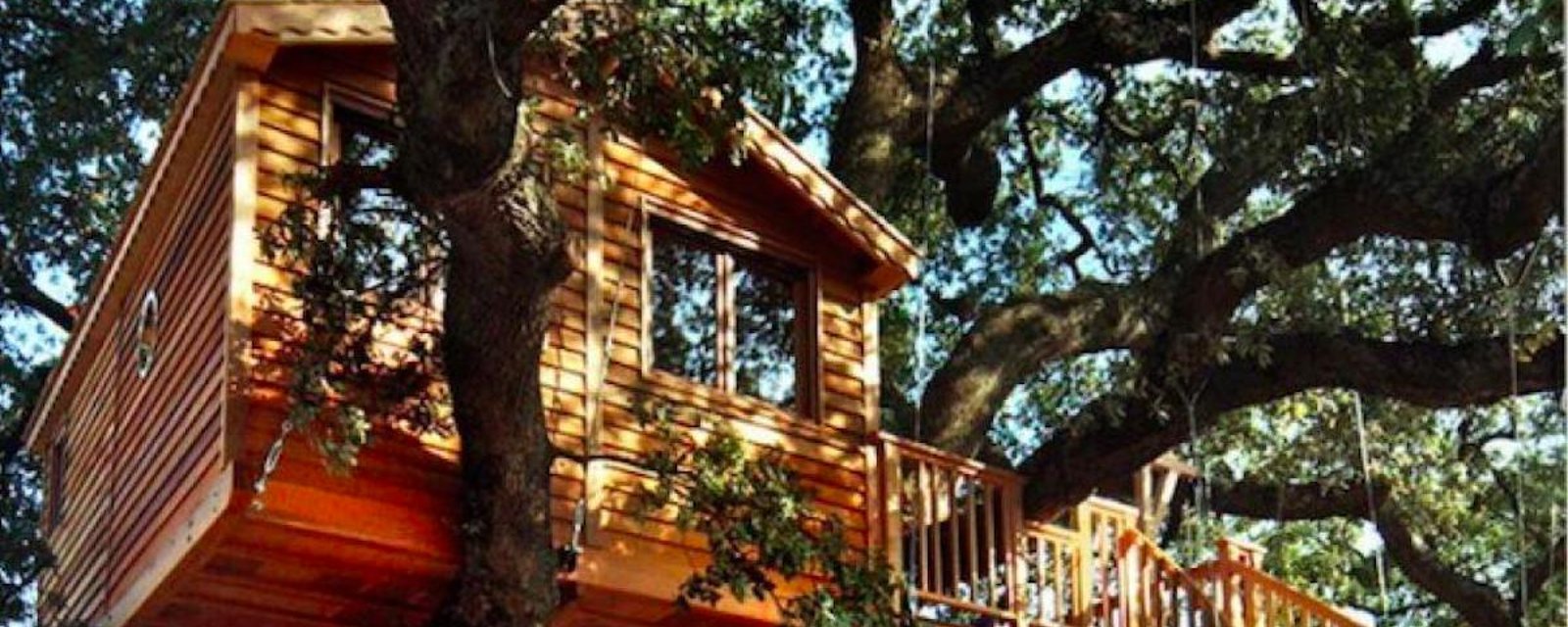13 inspirations pour construire une maison dans les arbres