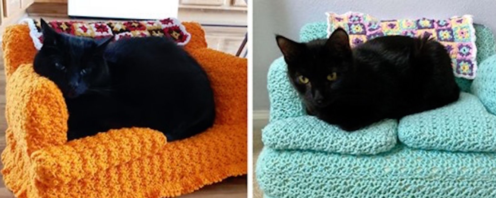 Tendance confinement: pendant leur temps libre, les gens fabriquent des canapés pour chats au crochet