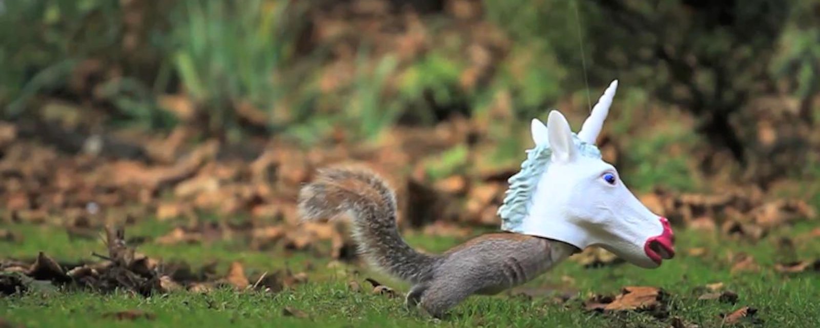 Un gadget un peu inutile mais hilarant: une mangeoire pour écureuils en tête de licorne!