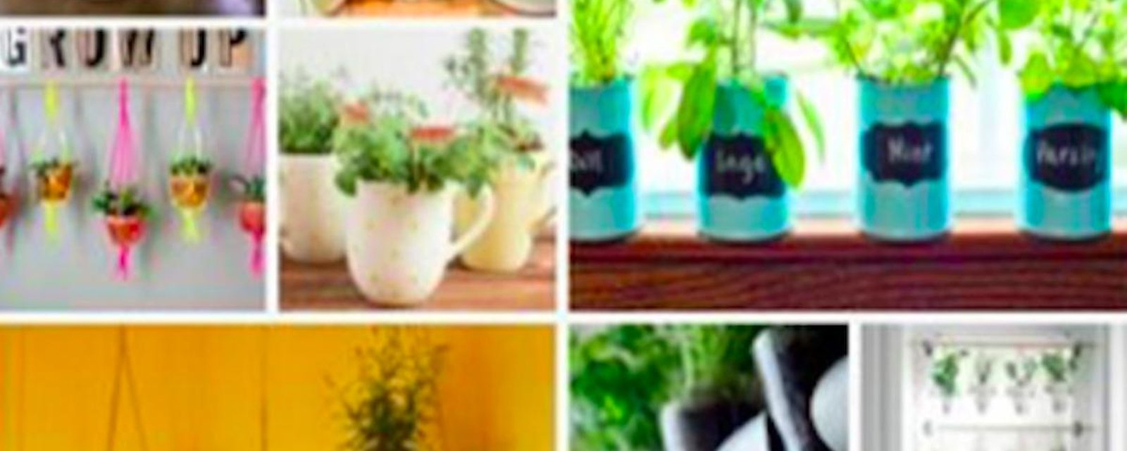 15 pots DIY pour vos herbes aromatiques
