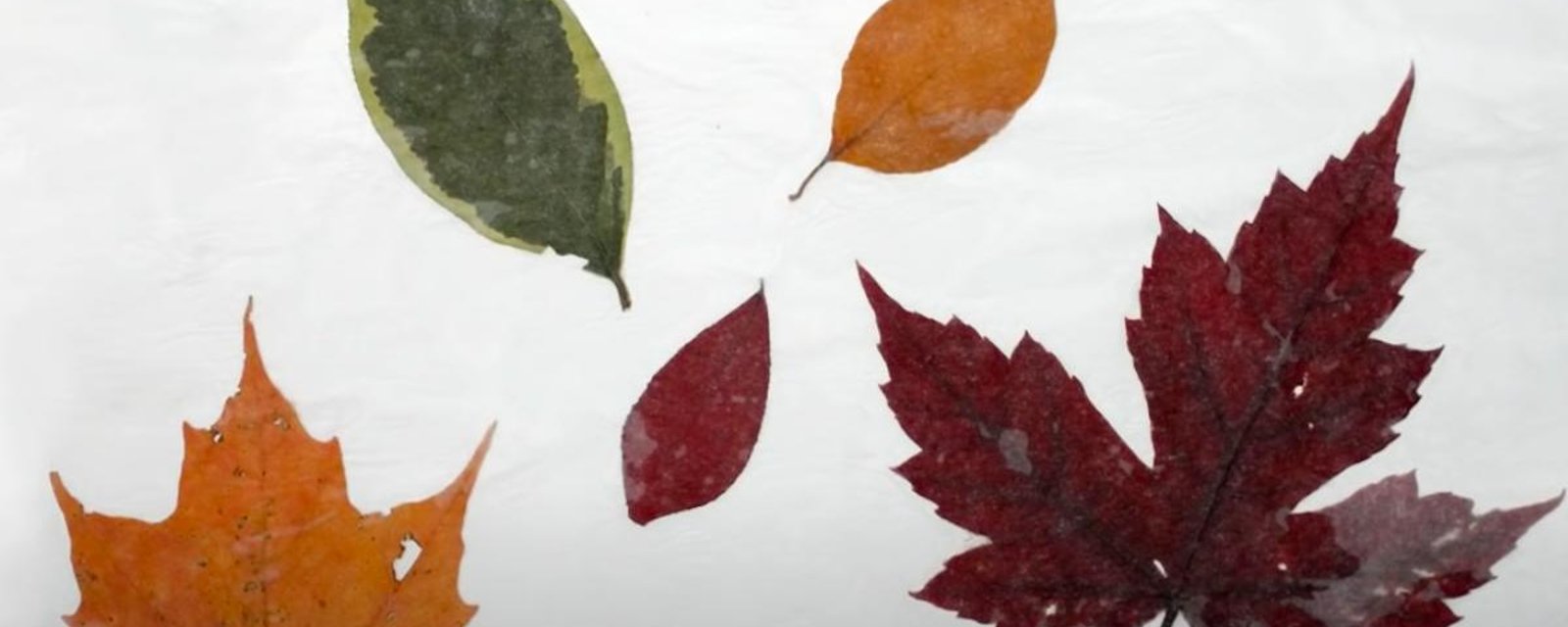 12 bricolages à faire avec des feuilles d’automne