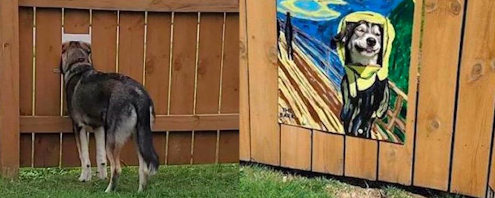 ​Pour amuser les passants, des propriétaires de chiens décorent leurs clôtures de façons originales!