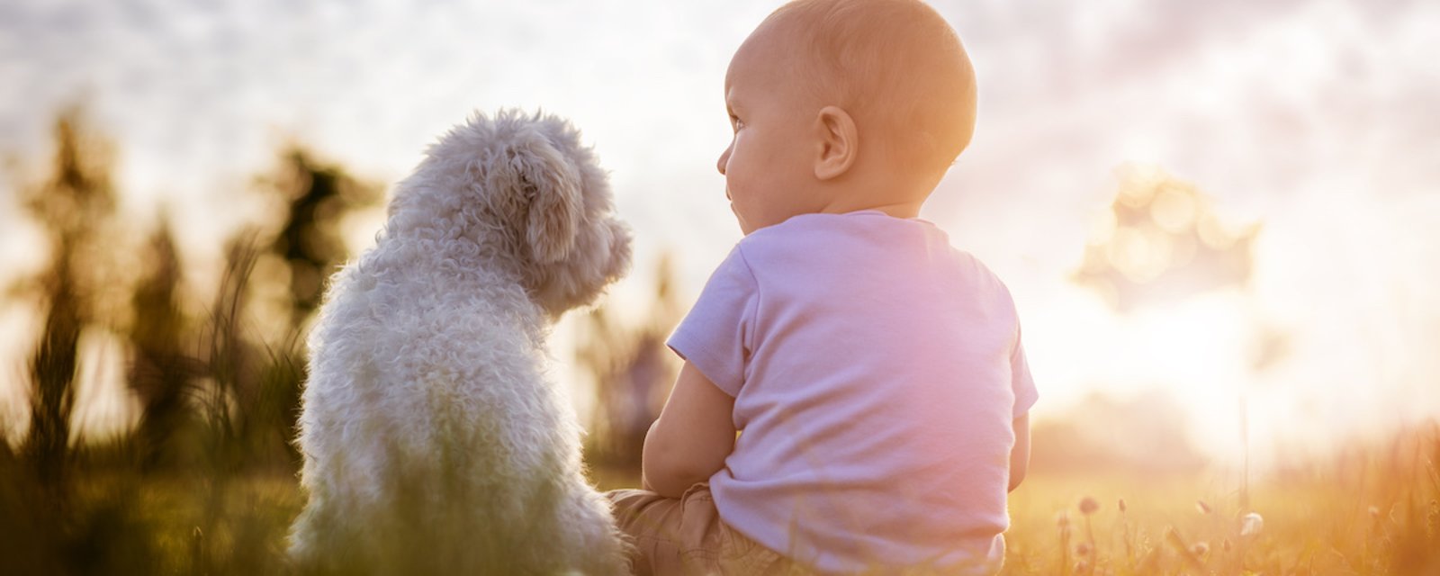 ​Les experts disent que les enfants qui ont des chiens sont plus heureux et ont plus de succès