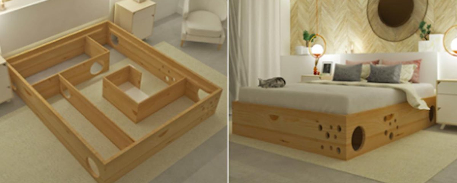 Le lit idéal pour les propriétaires de chats