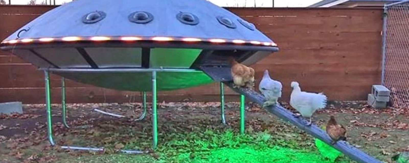 Un couple a construit un poulailler OVNI pour ses poules!