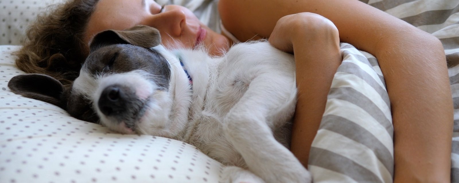 7 raisons de dormir avec votre chien