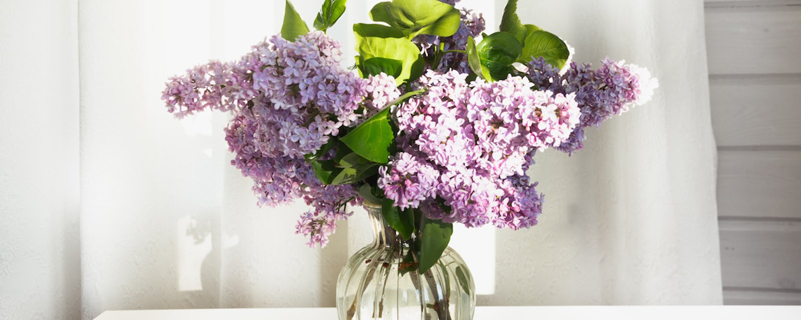 Comment empêcher les lilas de se faner dans un vase