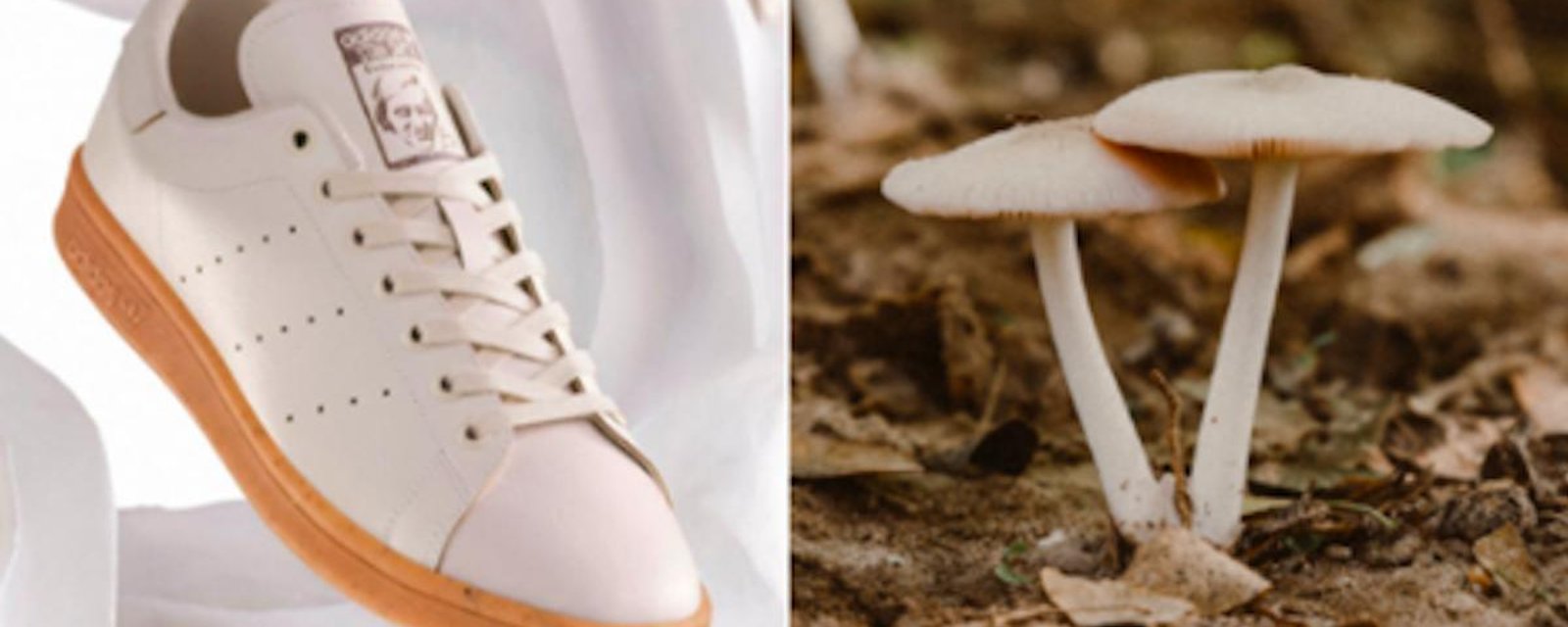 Adidas lance des chaussures fabriquées à partir de champignons