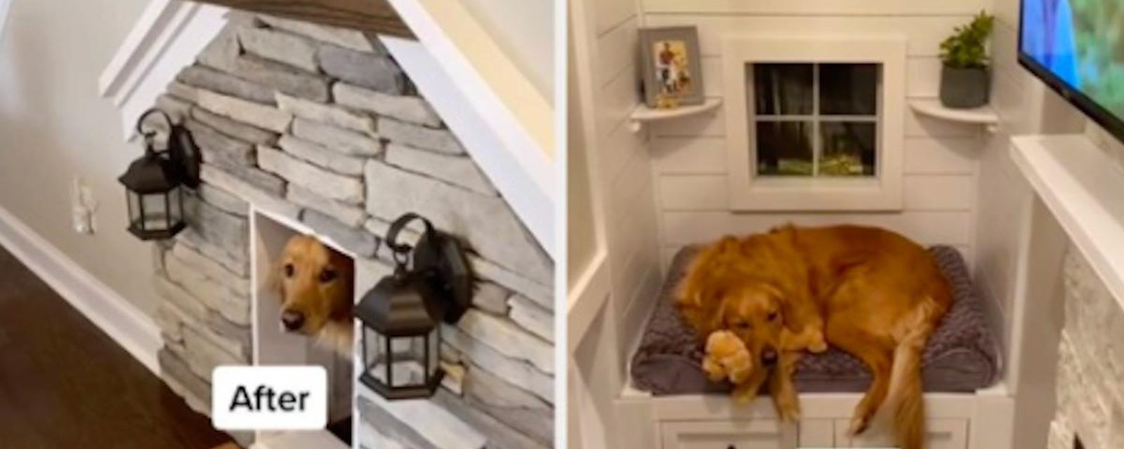 Ce gars a construit une chambre de luxe à son chien et sa vidéo est devenue virale
