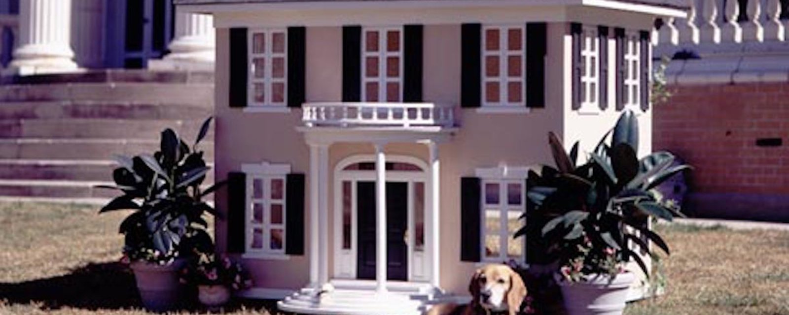 10 « niches » de designers pour chiens aimant le luxe!