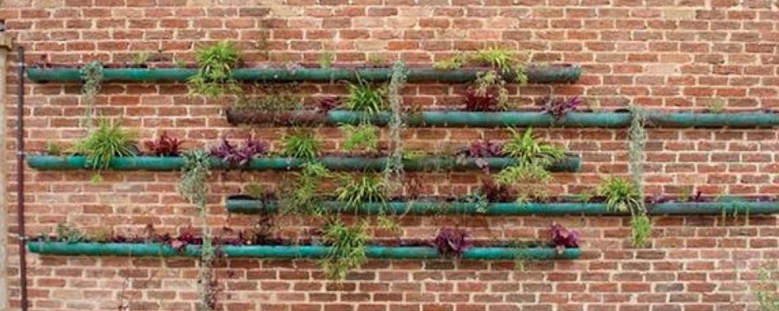 14 façons d'utiliser une clôture pour jardiner