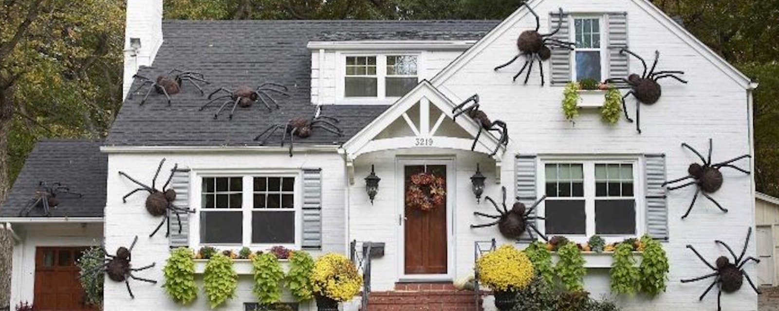 Comment décorer votre maison pour terroriser les arachnophobes