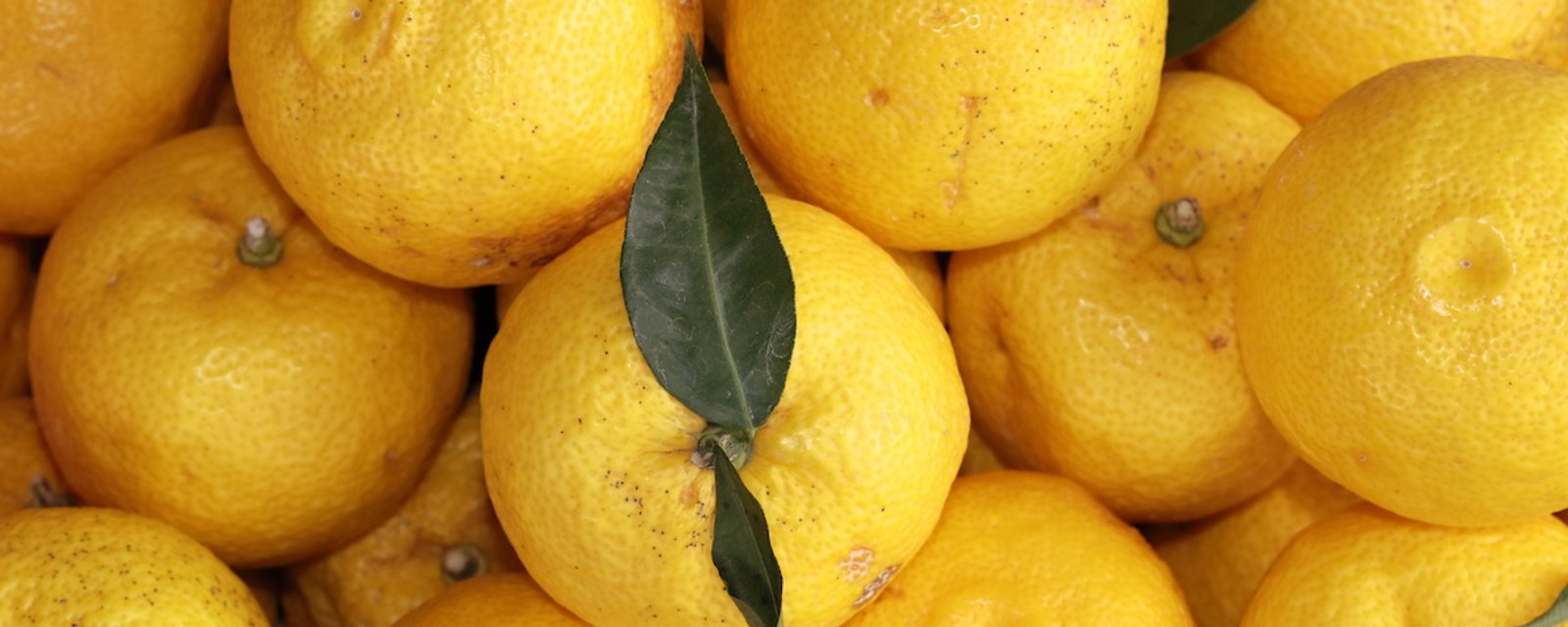 7 preuves que le citron est votre meilleur ami