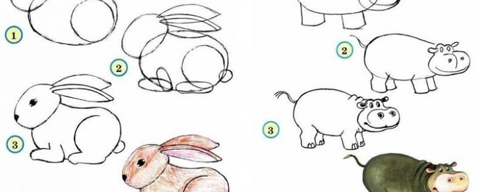 10 tutoriels photos pour apprendre à dessiner les animaux! 
