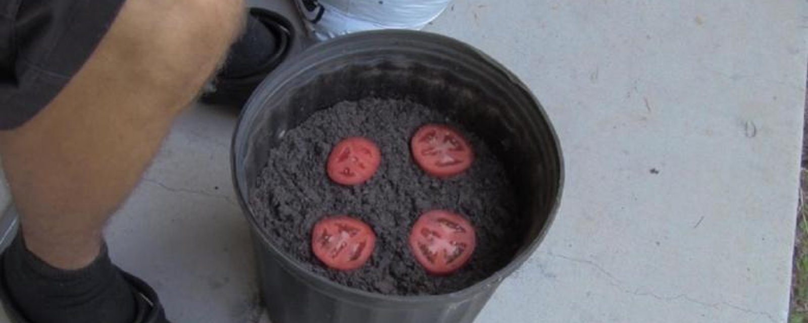 Il dépose 4 tranches de tomate dans un pot de terre! 10 jours plus tard! SURPRISE! 