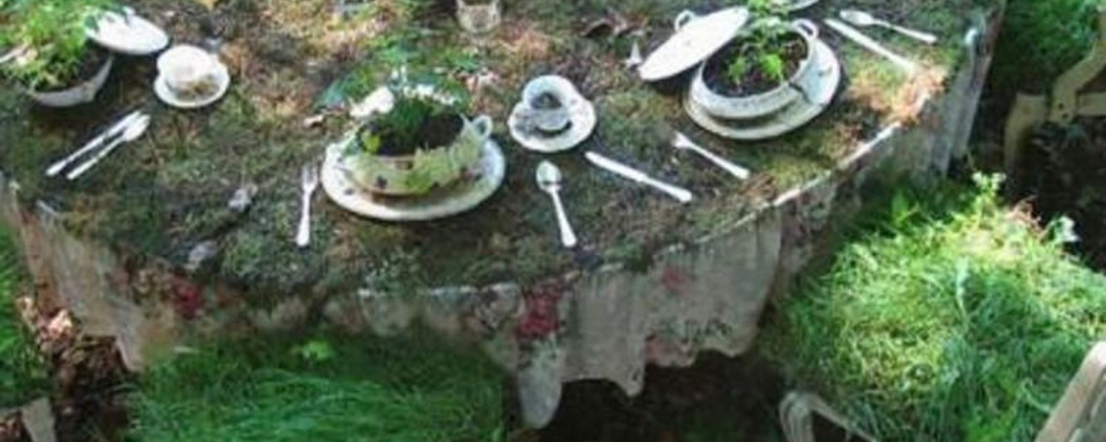 Cette table à manger est installée pendant des mois dans le jardin! Aujourd'hui? Elle est magnifique! 