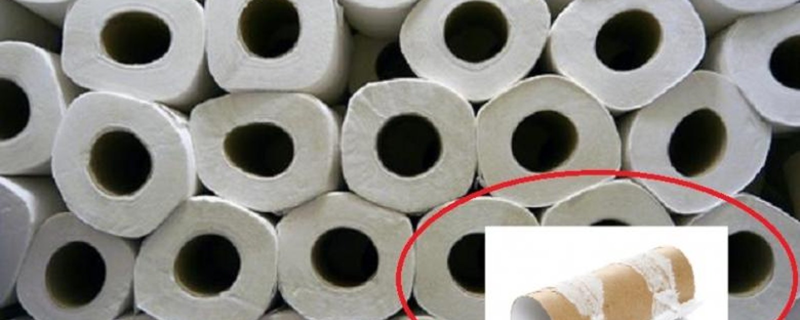 2 façons astucieuses de recycler des rouleaux de papiers de toilettes vides