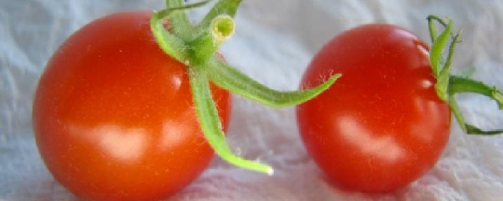 Ma mère range toujours ses tomates la tige en l'air pour une raison bien spécifique.. J'ignorais cette astuce!