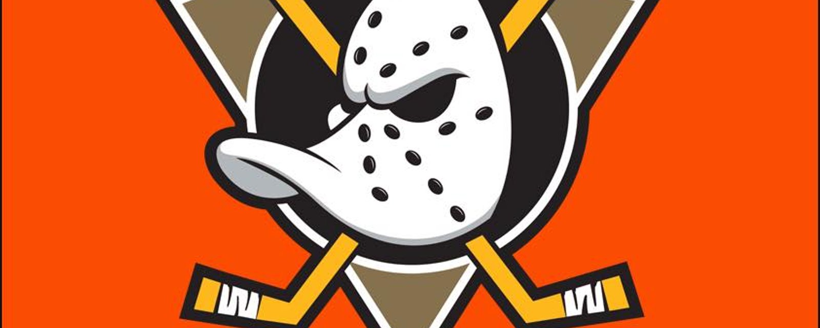 Les Ducks porteront un chandail controversé l'an prochain